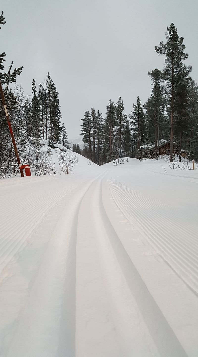 Lysløyperenn BOTN fristil